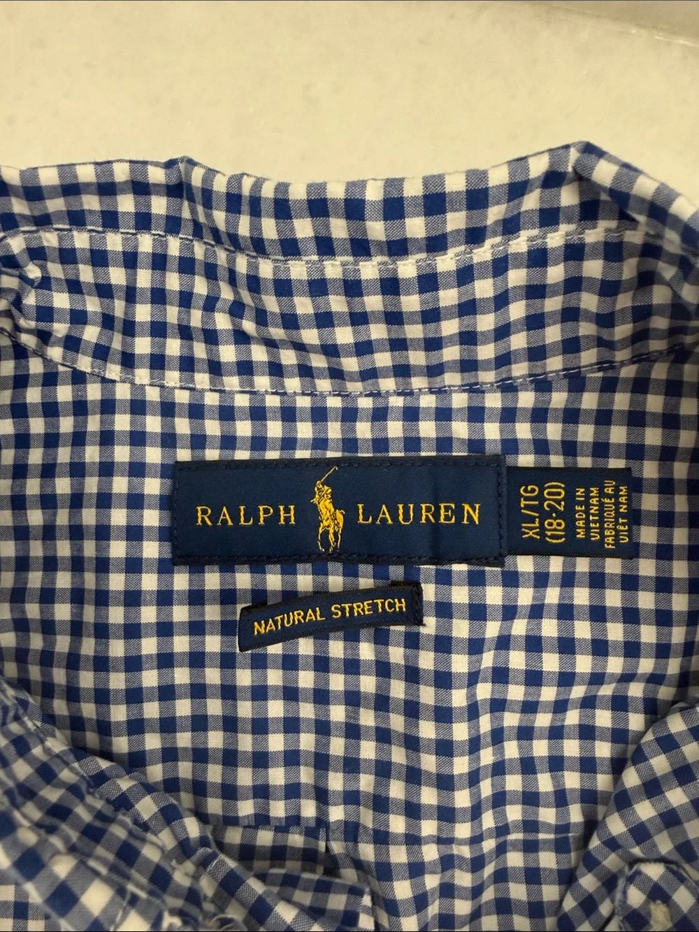 Ralph Lauren Kids Blue and White Gingham Button-Down Shirt